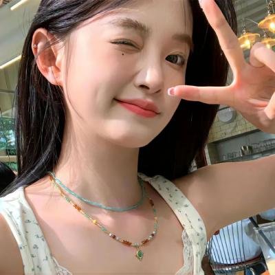 廉政追缉令粤语